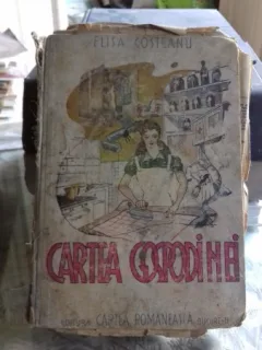 CARTEA GOSPODINEI - ELISA COSTEANU