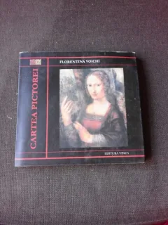 CARTEA PICTOREI - FLORENTINA VOICHI