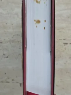 CARTEA SOAPTELOR, VARUJAN VOSGANIAN