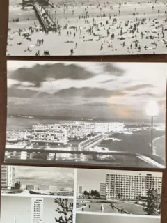 Carti postale Mamaia