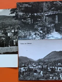 Carti postale Olanesti