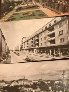 Carti postale Satu Mare