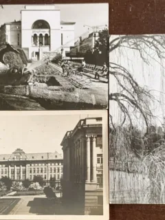 Carti postale Timisoara