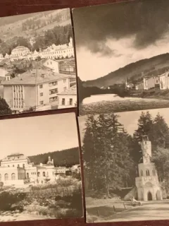 Carti postale Vatra Dornei