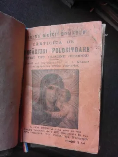 CARTICICA DE RUGACIUNI FOLOSITOOARE PENTRU TOTI CRESTINII ORTODOXI