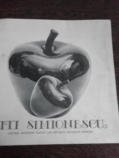 CATALOG EXPOZITIE TITI SIMIONESCU