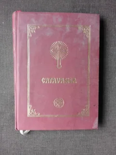 CATAVASIER SAU OCTOIH MIC, 2002