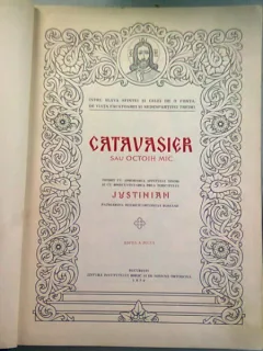 CATAVASIER SAU OCTOIH MIC