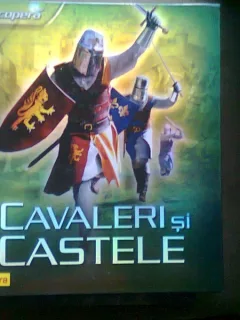 CAVALERI SI CASTELE