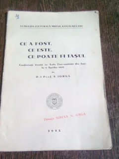 CE A FOST, CE ESTE, CE POATE FI IASUL - N. IORGA