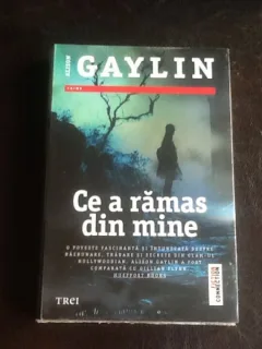 Ce a ramas din mine - Alison Gaylin