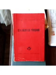 Ce-a vazut Ilie Painisoara , Ionel Teodoreanu