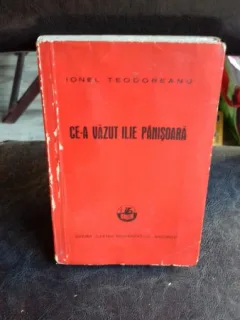 CE-A VAZUT ILIE PANISOARA - IONEL TEODOREANU