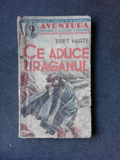 CE ADUCE URAGANUL - BRET HARTE