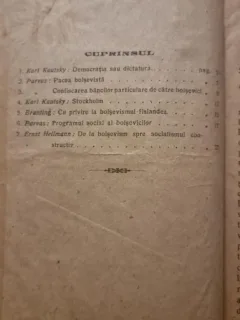 CE CRED TEORETICIENII SOCIALISTI DESPRE BOLSEVISM
