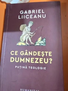 Ce gandeste Dumnezeu? - Gabriel Liiceanu