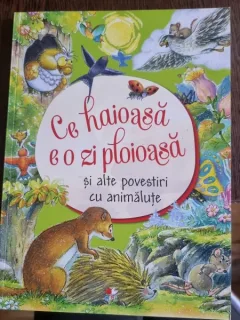 Ce haioasa e o zi ploioasa