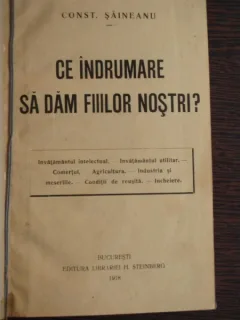 CE INDRUMARE SA DAM FIILOR NOSTRI? - CONS. SEINEANU