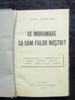 CE INDRUMARE SA DAM FIILOR NOSTRI? - CONST. SAINEANU