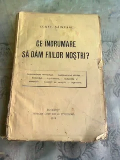 CE INDRUMARE SA DAM FIILOR NOSTRI? - CONST. SAINEANU