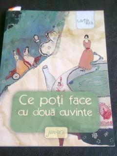 CE POTI FACE CU DOUA CUVINTE