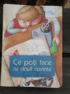 CE POTI FACE CU DOUA CUVINTE - LIVIU PAPADIMA