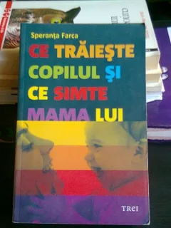 CE TRAIESTE COPILUL SI CE SIMTE MAMA LUI - SPERANTA FARCA