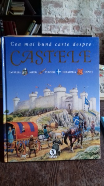 CEA MAI BUNA CARTE DESPRE CASTELE - PHILIP STEELE