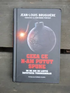 CEEA CE N-AM PUTUT SPUNE - JEAN-LOUIS BRuGUIERE