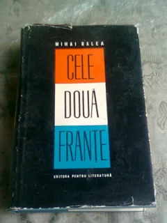 CELE DOUA FRANTE - MIHAI RALEA