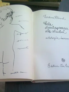 CELE DOUASPREZECE LUNI ALE VISULUI - IORDAN CHIMET