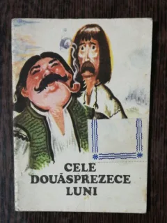 CELE DOUASPREZECE LUNI - SIMION FLOREA MARIAN