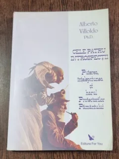 Cele patru introspectii - Alberto Villoldo
