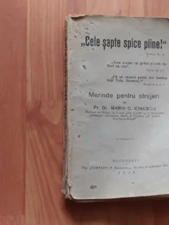 CELE SAPTE SPICE PLINE-MERINDE PENTRU STRAJERI-PR. DR. C. IONESCU