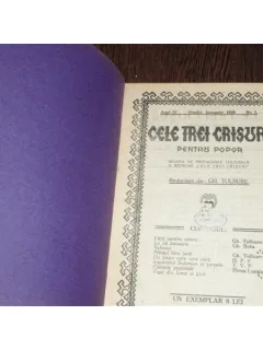 CELE TREI CRISURI - GH.TULBURE
