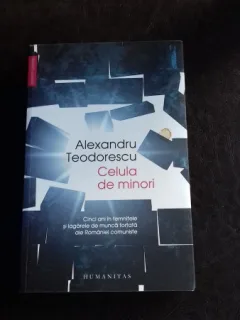 CELULA DE MINORI - ALEXANDRU TEODORESCU