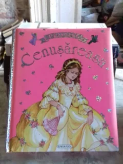 CENUSAREASA