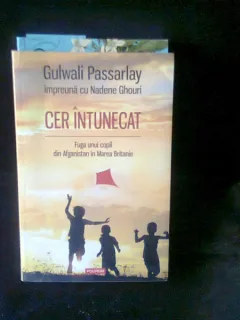CER INTUNECAT - GULWALI PASSARLAY