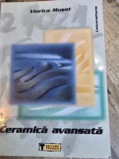 CERAMICA AVANSATA - VIORICA MUSAT