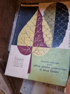 Cercetari stationale privind cultura plopilor euramericani in lunca Dunarii-Ing.Adrian ionescu