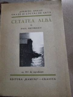 CETATEA ALBA de PAUL NICORESCU