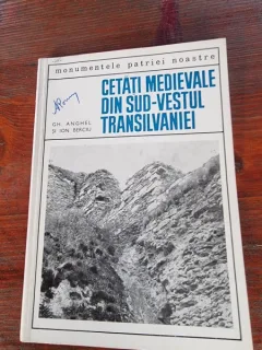 CETATI MEDIEVALE DIN SUD-VESTUL TRANSILVANIEI - GH. ANGHEL