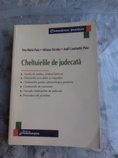 CHELTUIELILE DE JUDECATA - ANA MARIA PUIU