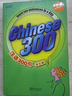 Chinese 300, learn ten sentences in a day
