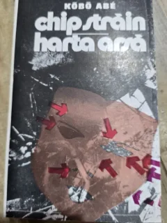 CHIP STRAIN HARTA ARSA , KOBO ABE