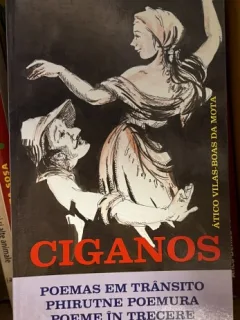 Ciganos - Atico Vilas - Boas da Mota