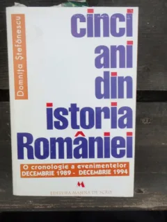 CINCI ANI DIN ISTORIA ROMANIEI - DOMNITA STEFANESCU