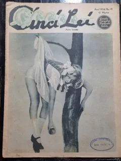 Cinci Lei, gazeta noastra ilustrata nr.15/1934