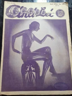 Cinci Lei, gazeta noastra ilustrata nr.25/1934