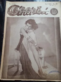 Cinci Lei, gazeta noastra ilustrata nr.29/1934